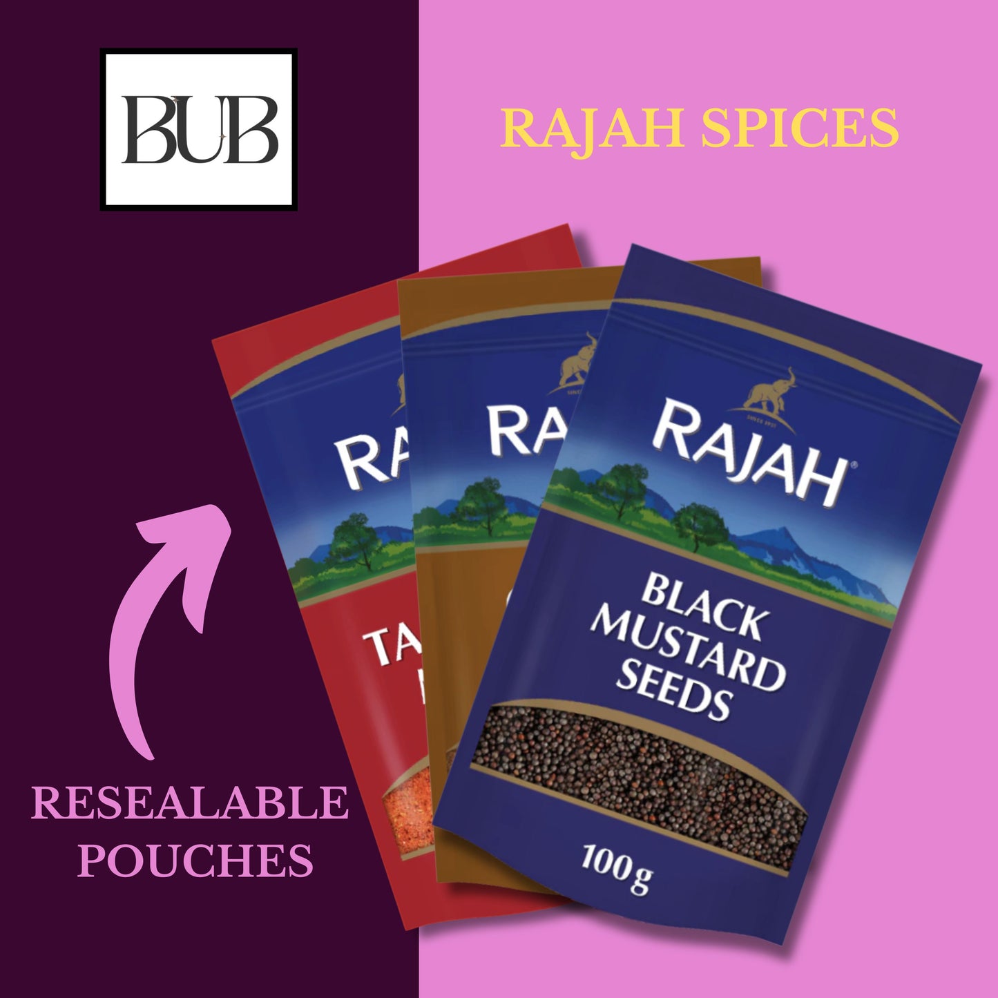BUB Indian Spices for Cooking Gift Box & Curry Kit - Indian Essentials Recipe Booklet & Premium Quality Rajah Spices - Spice Tin Refill Kit